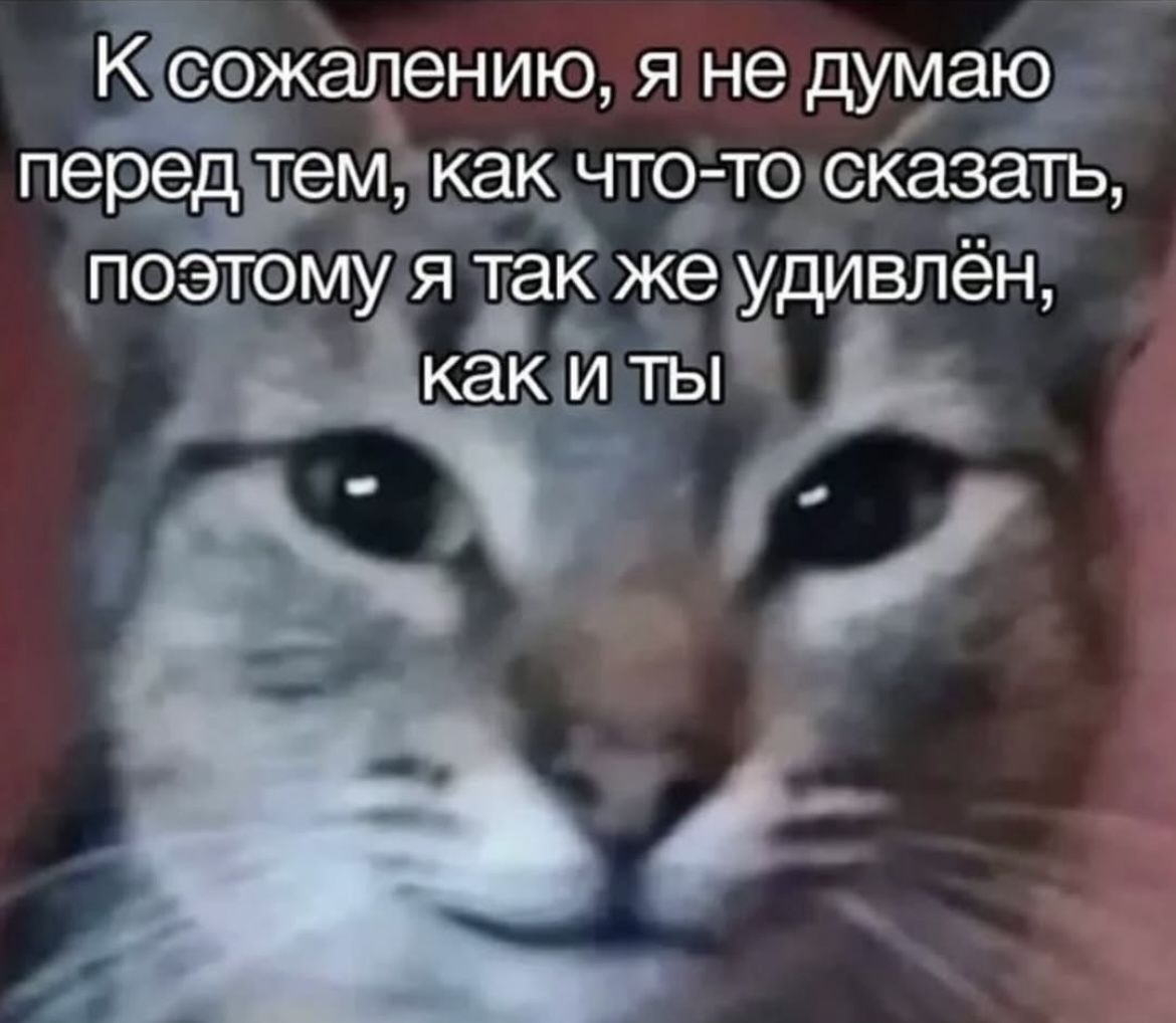 кот: я так же удивлён как и ты