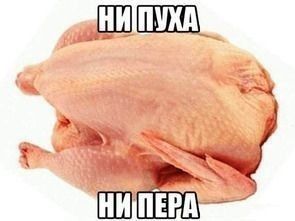 курица: ни пуха ни пера